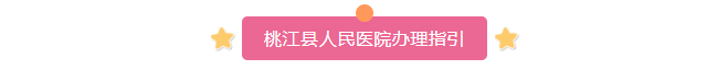 5办理指引.png