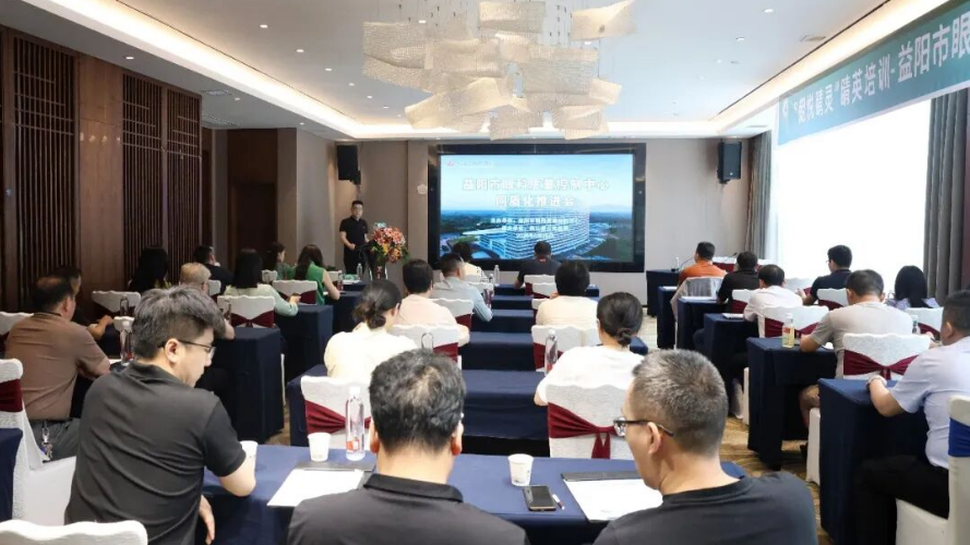益阳市眼科质控中心同质化推进会在桃江召开